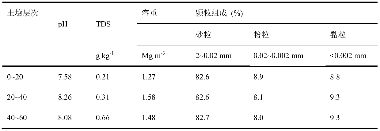 Introduction and salt-and-alkali-resistant cultivation method for jerusalem artichoke