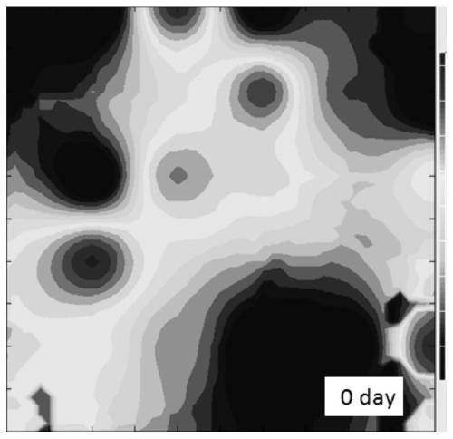 A visualization system for electric remediation of organic polluted soil