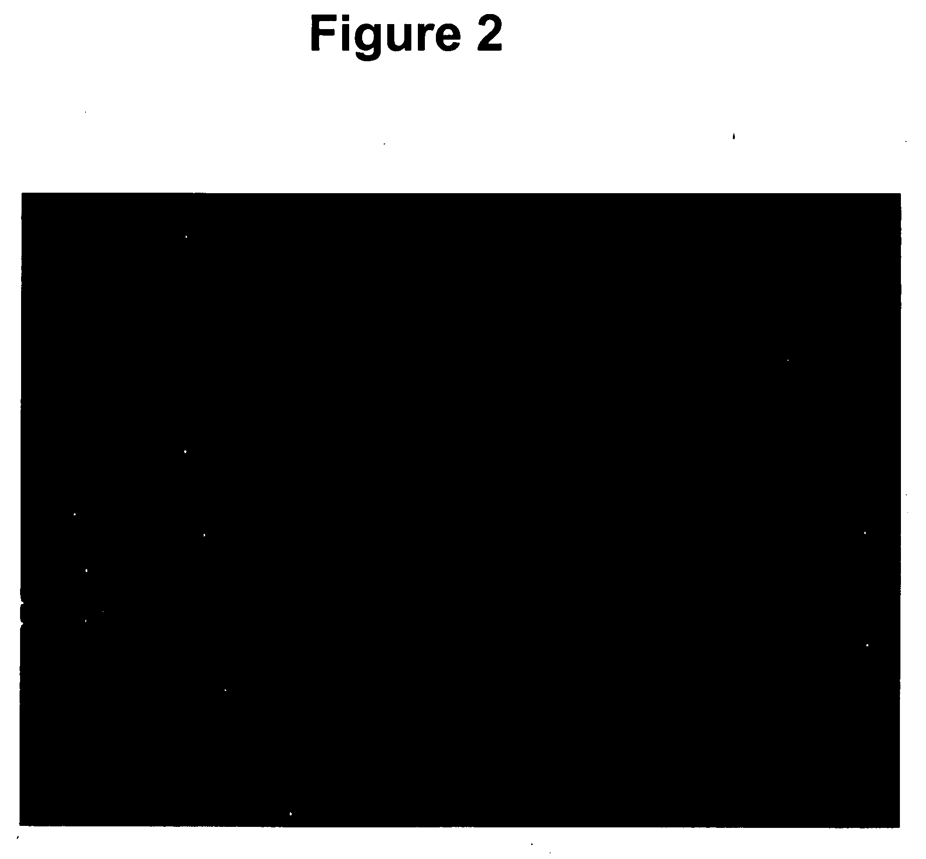 System and method for assessing motor and locomotor deficits and recovery therefrom