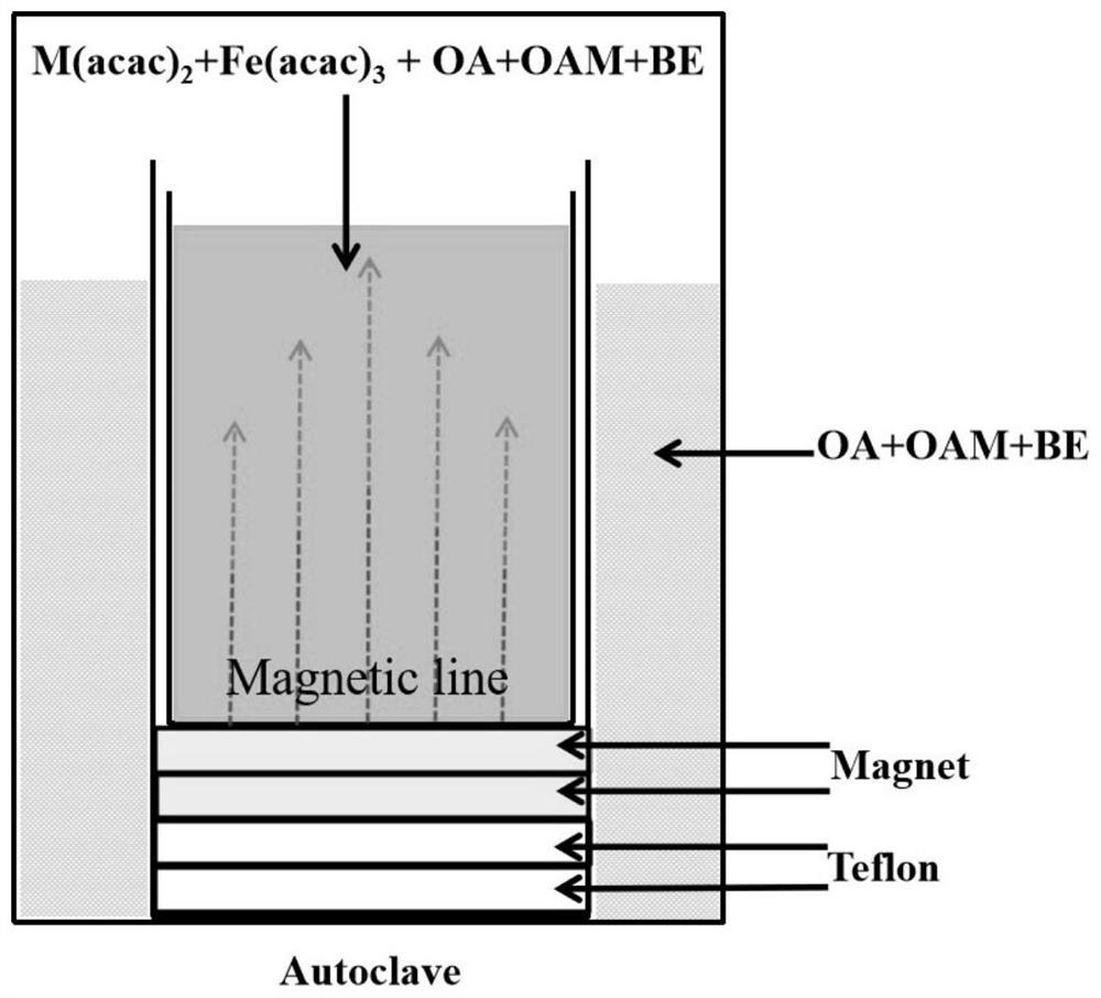 Method for magnetic field assisted solvothermal synthesis of ferrite and method for regulating and controlling magnetic grain size and morphological characteristics