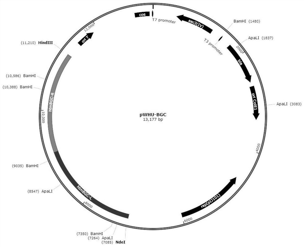 Hangtaimycin biosynthetic gene cluster and its application