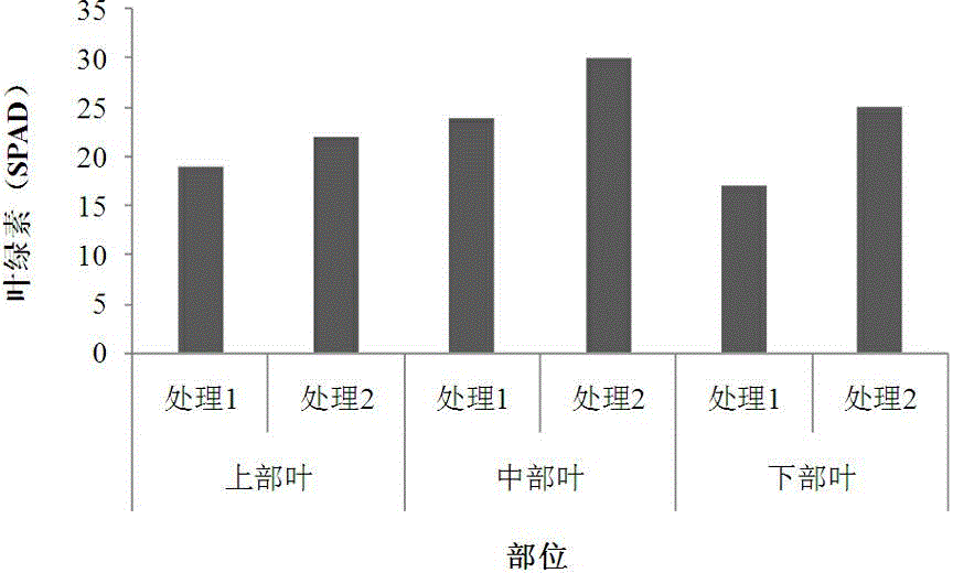 Cultivation method ensuring field growth time of fen-flavor tobacco leaves