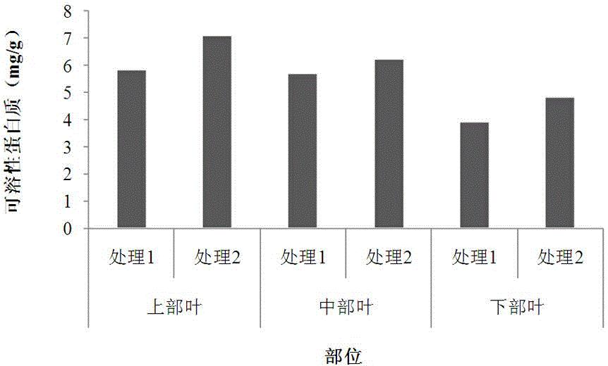 Cultivation method ensuring field growth time of fen-flavor tobacco leaves