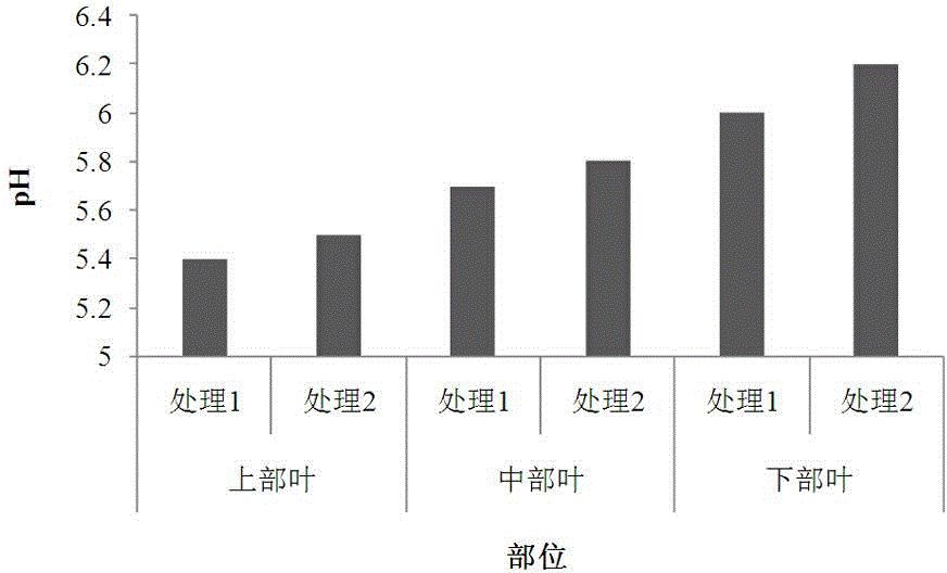 Cultivation method ensuring field growth time of fen-flavor tobacco leaves