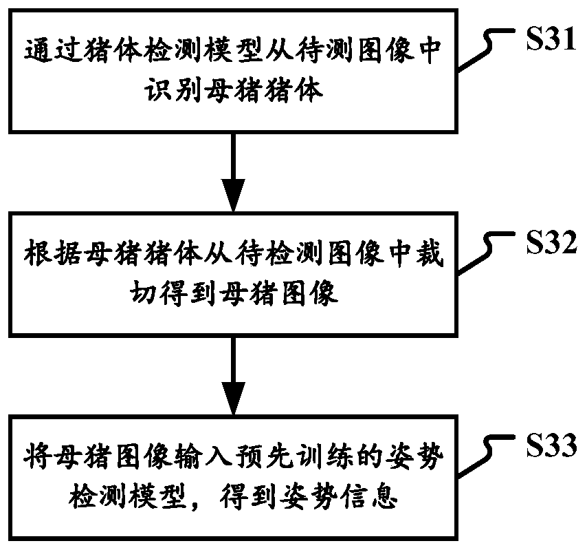 Sow oestrus monitoring method, device and system, electronic equipment and storage medium