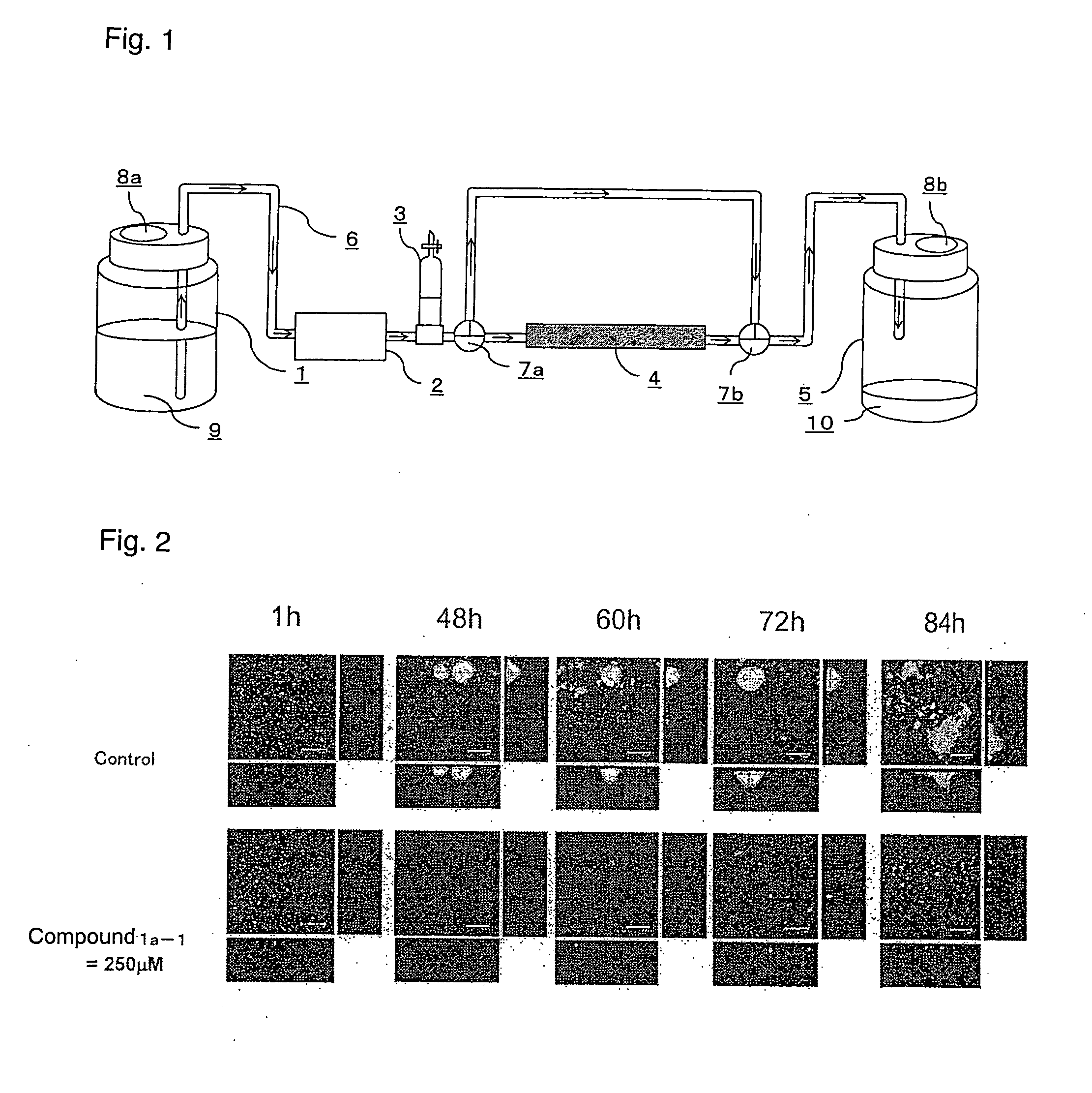 Amide compound or salt thereof, and biofilm inhibitor, biofilm remover and disinfectant containing the same