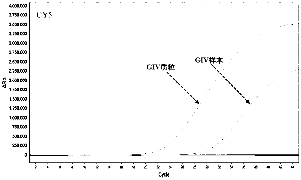Norovirus GI, GII and GIV nucleic acid genotyping reagent kit and detection method
