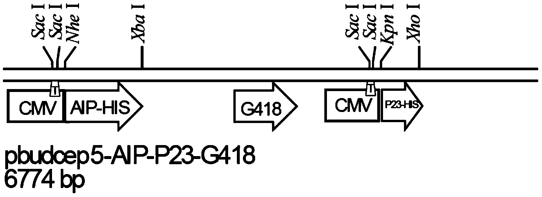 Method and system of detecting dioxin-like compounds