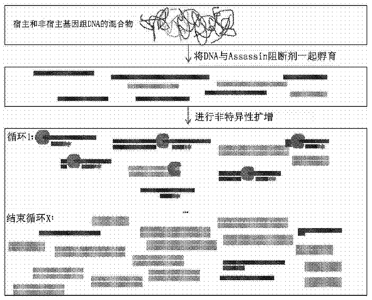 Selective enrichment of population of DNA in mixed DNA sample through targeted suppression of DNA amplification