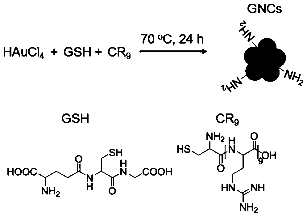 A gold nano-cluster particle for intelligently releasing insulin to regulate blood sugar and its preparation method