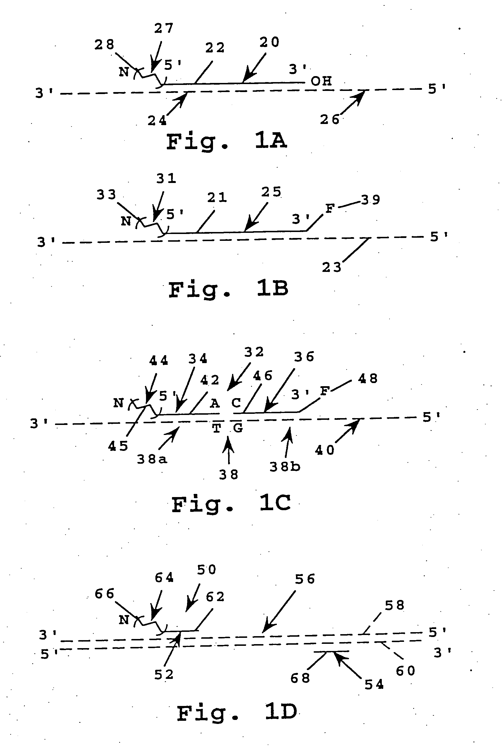 Probe composition and method