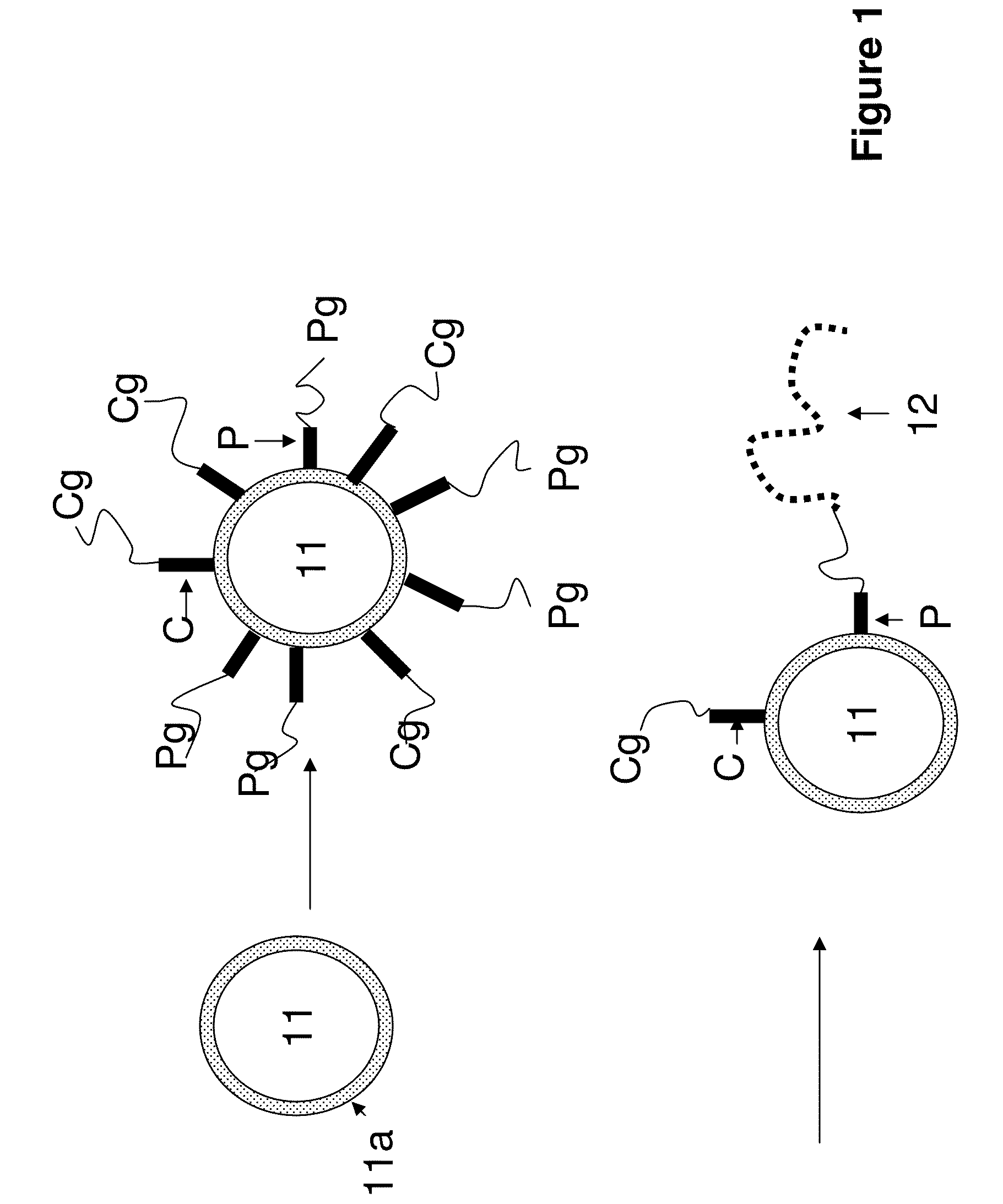Charged pigment particles for electrophoretic display