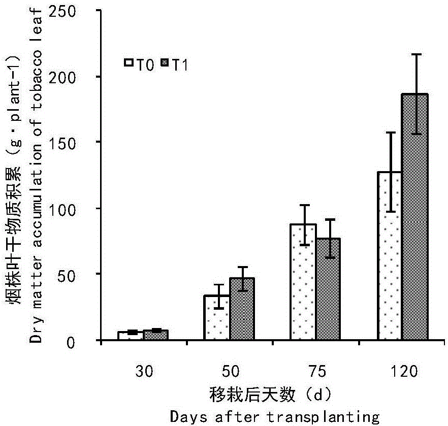 Fertilizing method for improving tobacco plant dry matter accumulation