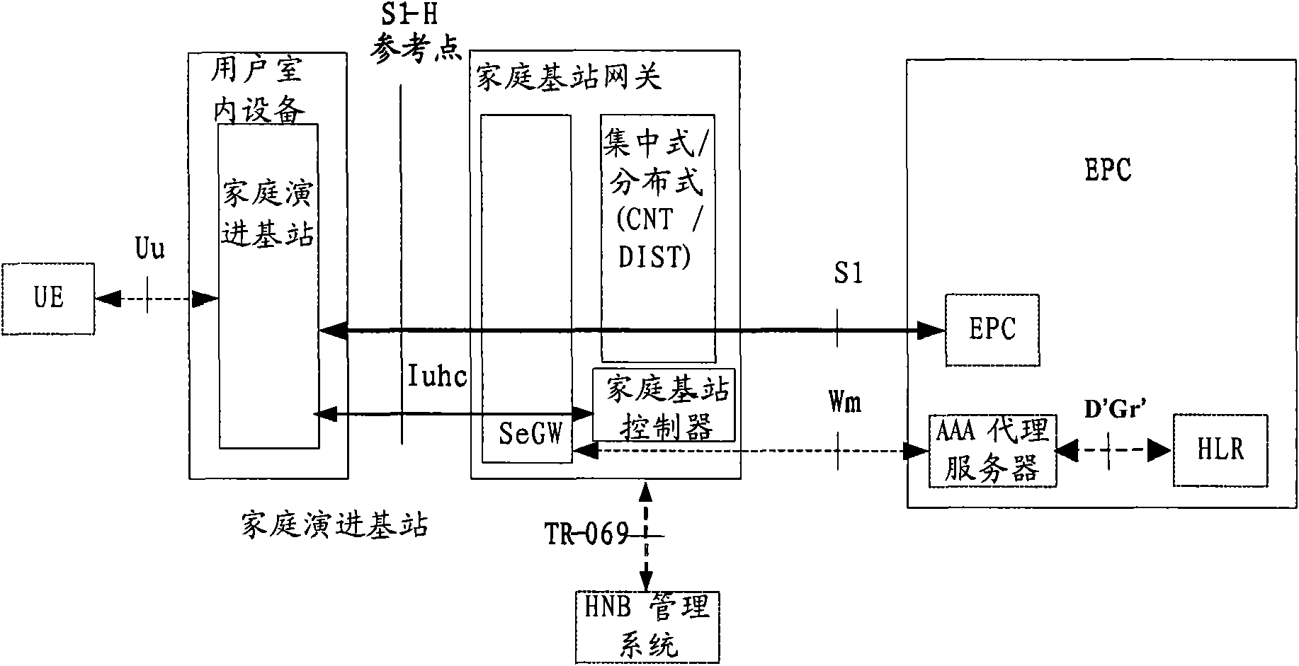 Family evolution base station system and access method of wireless device