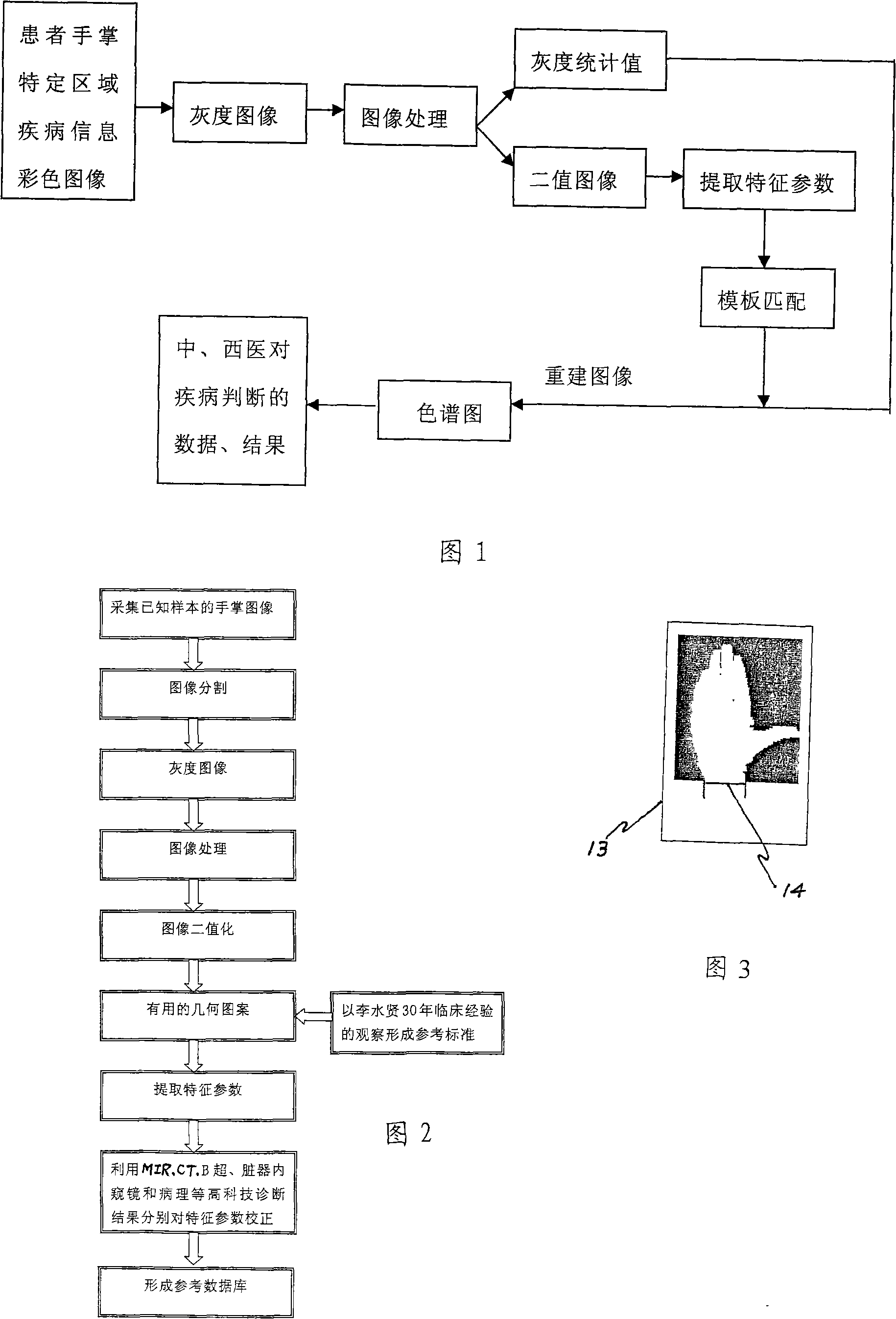 Image expression measuring method and apparatus for human disease information hand zone imaging