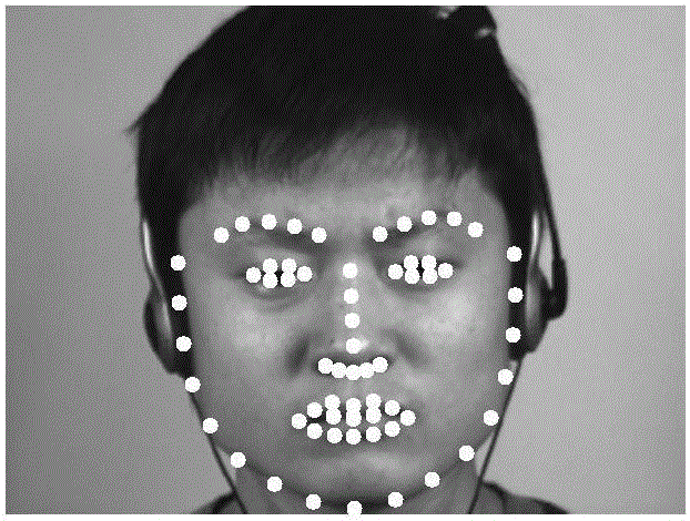 Micro expression automatic identification method based on multiple-dimensioned sampling