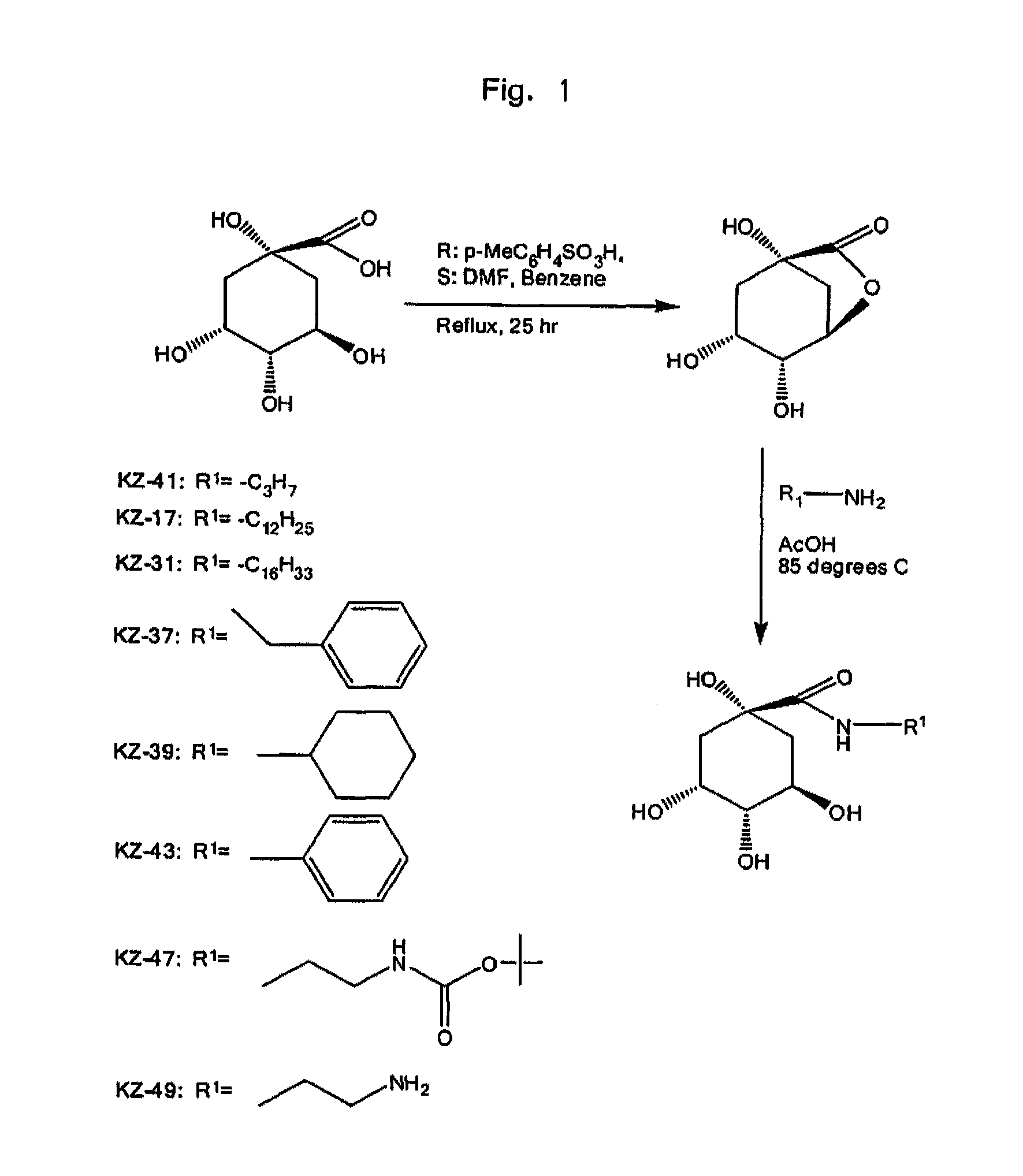 Anti-Inflammatory Quinic Acid Derivatives for Radioprotection/Radiomitigation