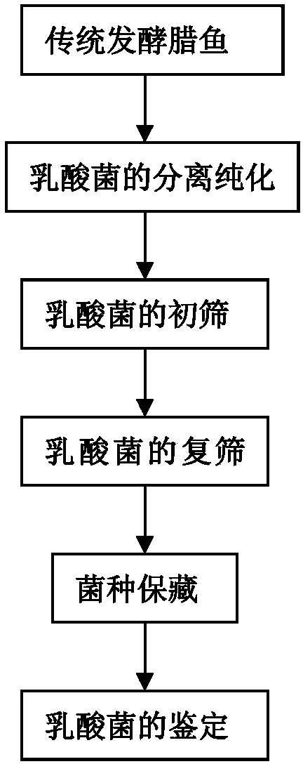 Lactobacillus plantarum for freshwater fish fermentation product and application thereof