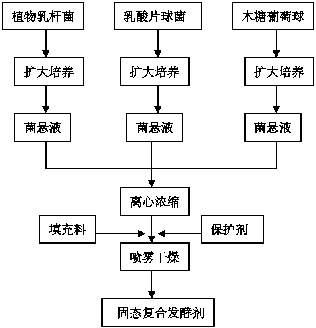 Lactobacillus plantarum for freshwater fish fermentation product and application thereof