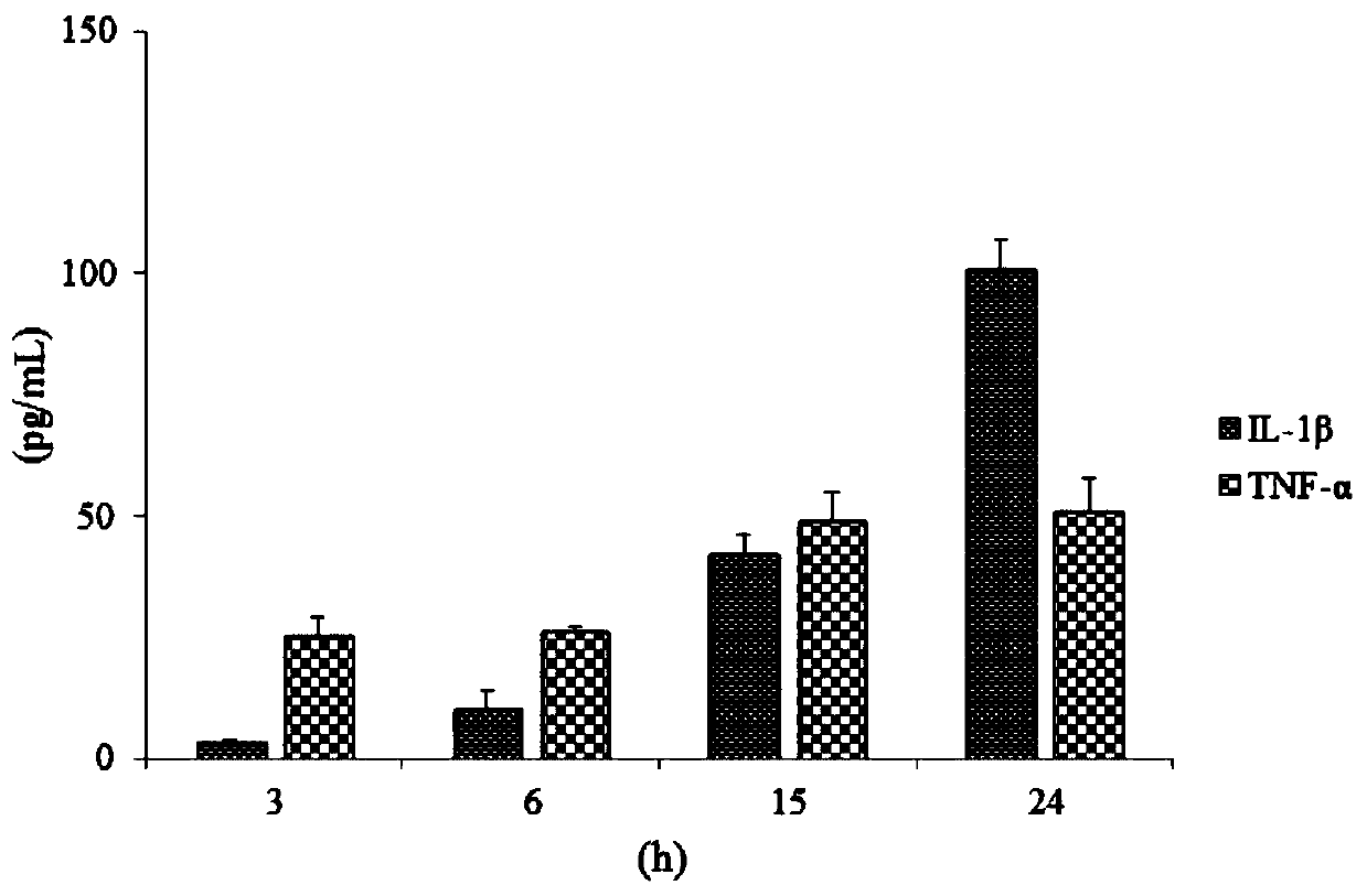 Traditional Chinese medicine composition for treating gouty arthritis and its application