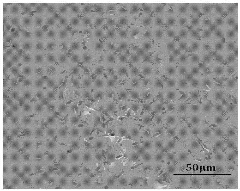 Method for establishing monoclonal mesenchymal stem cells and its application