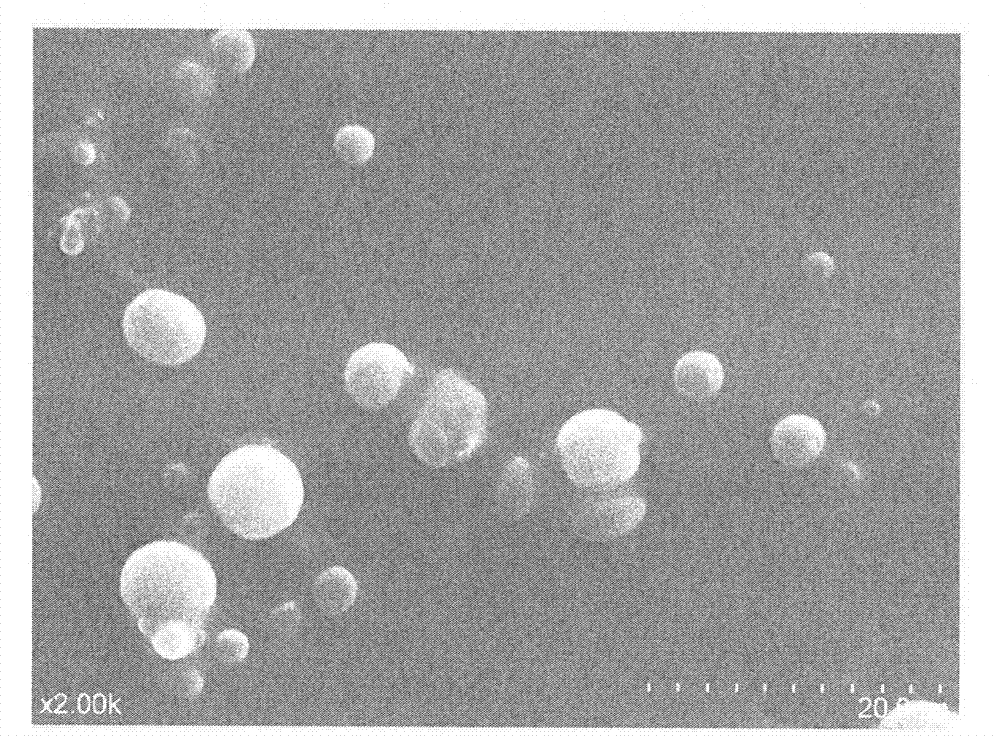 N,N-dimethyl piper-ridinium chloride sustained-release microcapsules and preparation method thereof