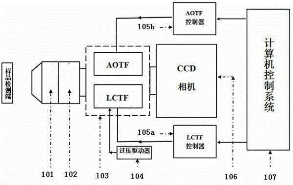 Near-infrared spectrum imaging system and near-infrared spectrum imaging method for diagnosis of depth and area of burn skin necrosis