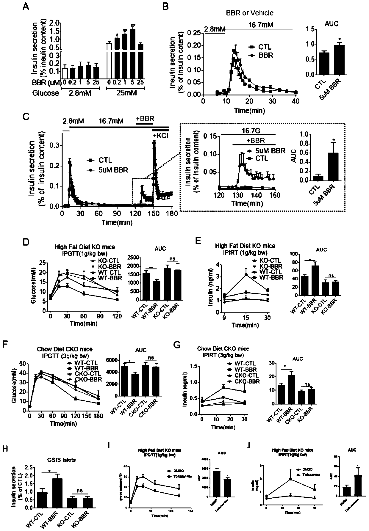 Application berberine (BBR) in regulating functions of KCNH6 protein