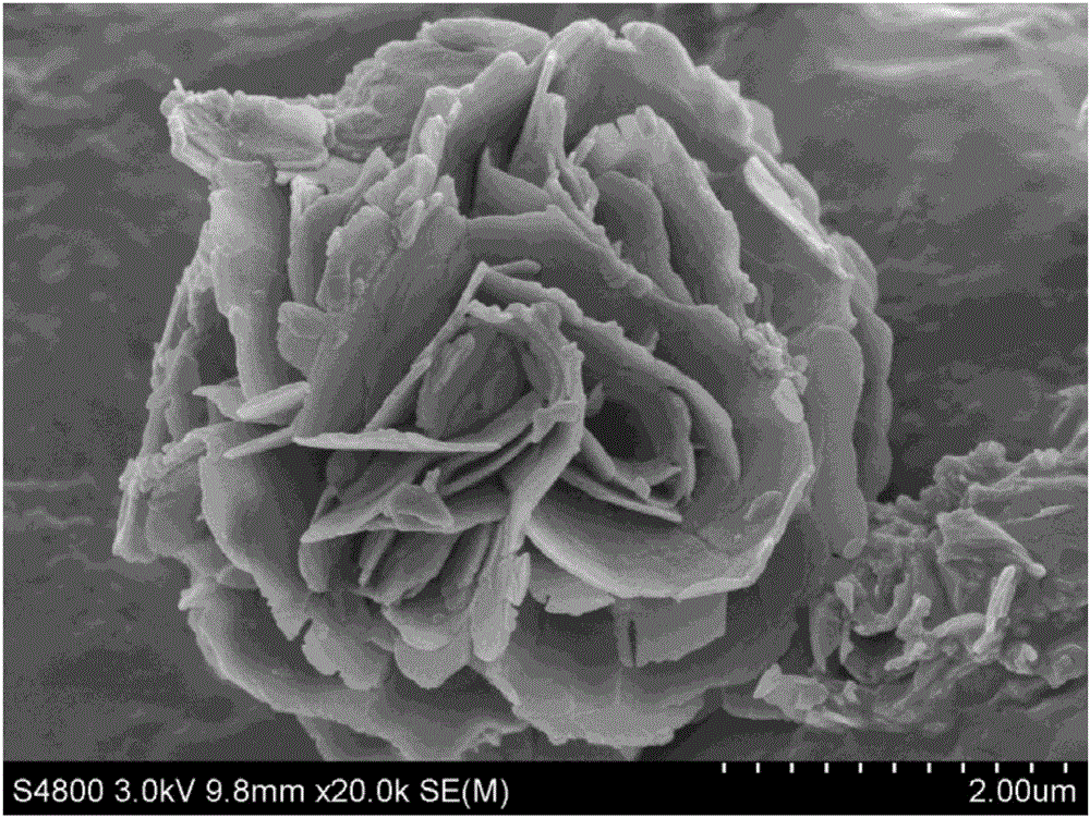 Preparation method and application of nanosheet self-assembled microflower-shaped VS2