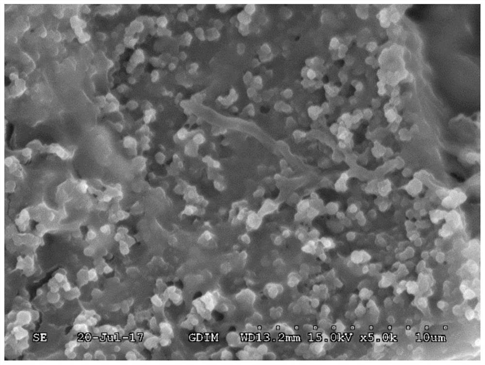 A biological filler for adsorbing and degrading hydrophobic organic waste gas and its preparation method