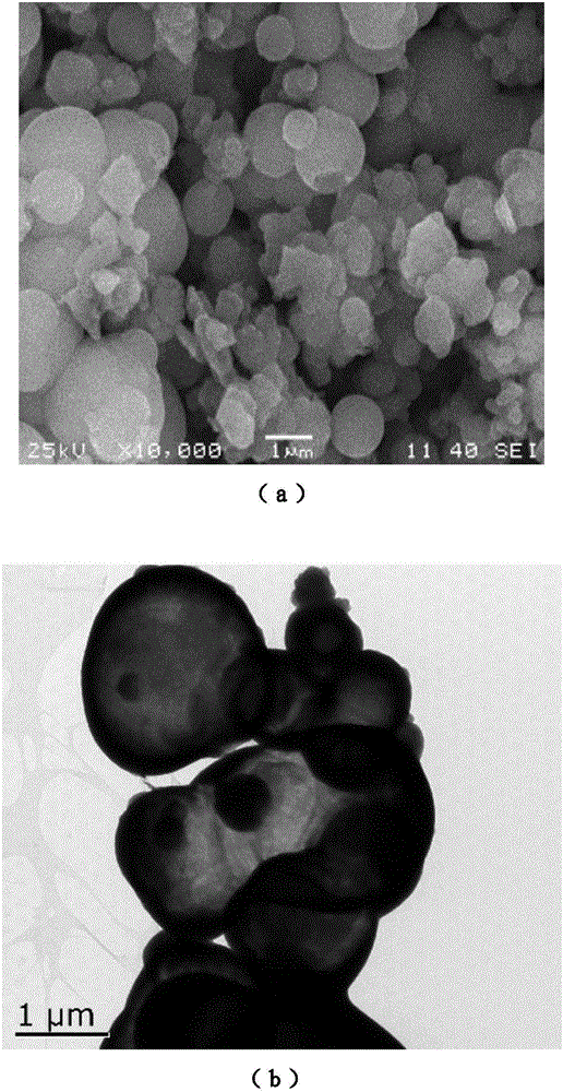 Carbon nitride hollow sphere photocatalyst, preparation method and application thereof