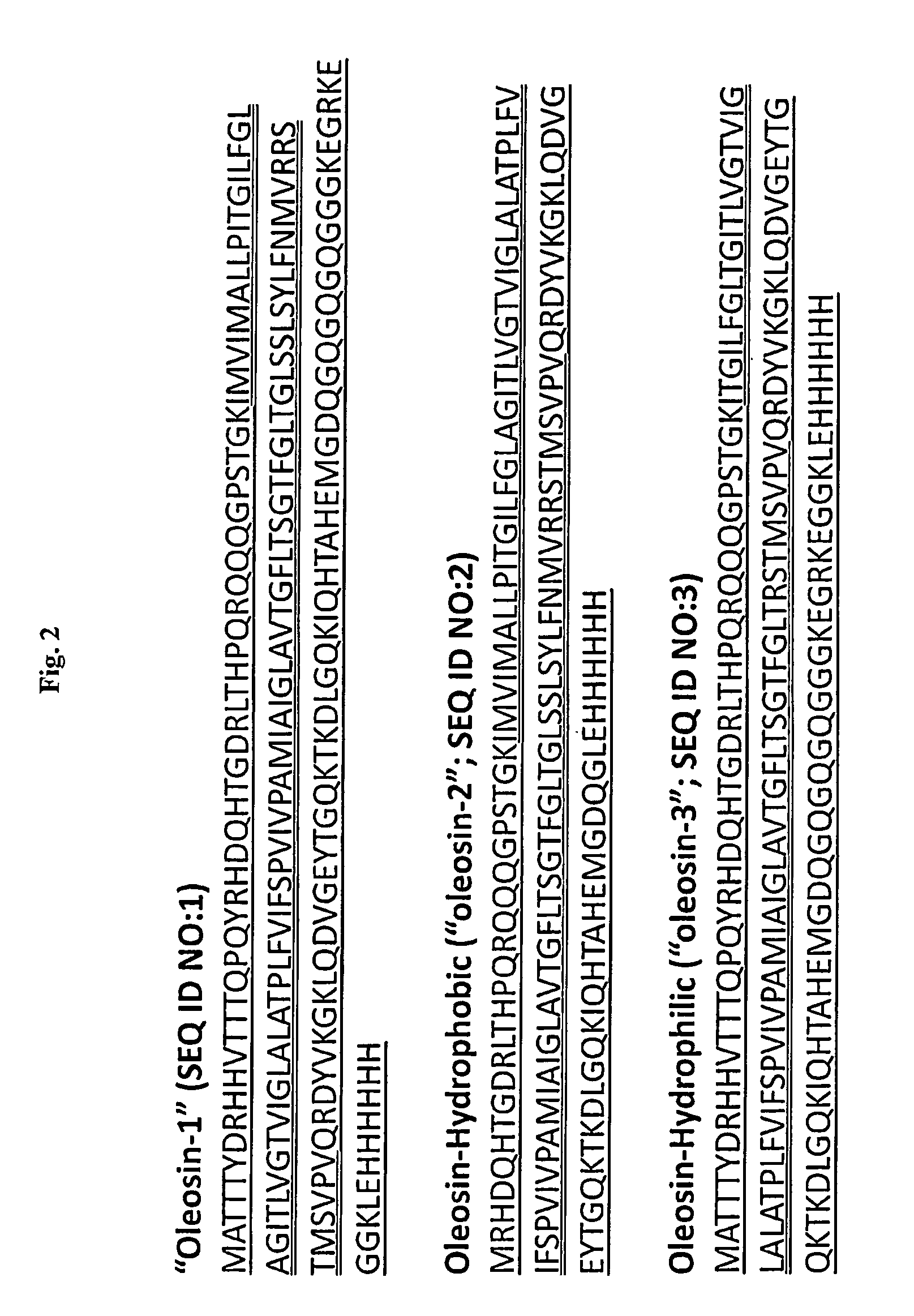 Vesicles and nanostructures from recombinant proteins