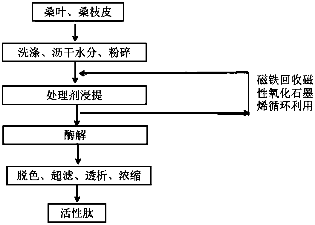 A kind of preparation method of mulberry active peptide