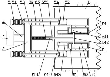 Biomass fuel combustion furnace facilitating sufficient combustion