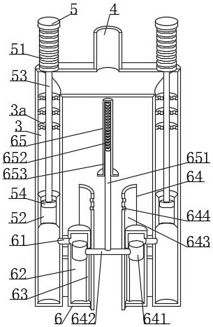 Biomass fuel combustion furnace facilitating sufficient combustion