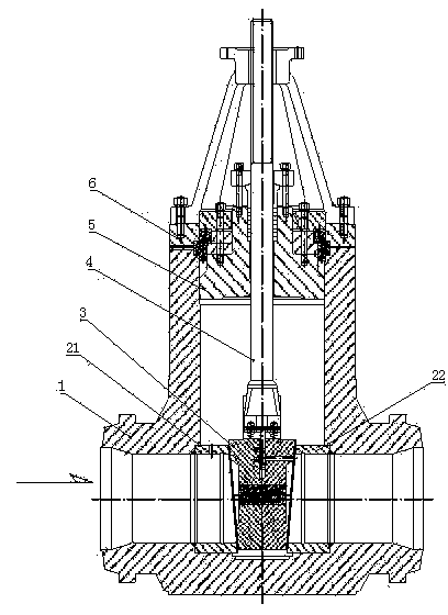 Pilot plant sluice valve