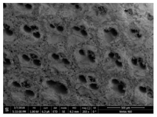 Porous material hole automatic measurement method based on scanning electron microscope image segmentation
