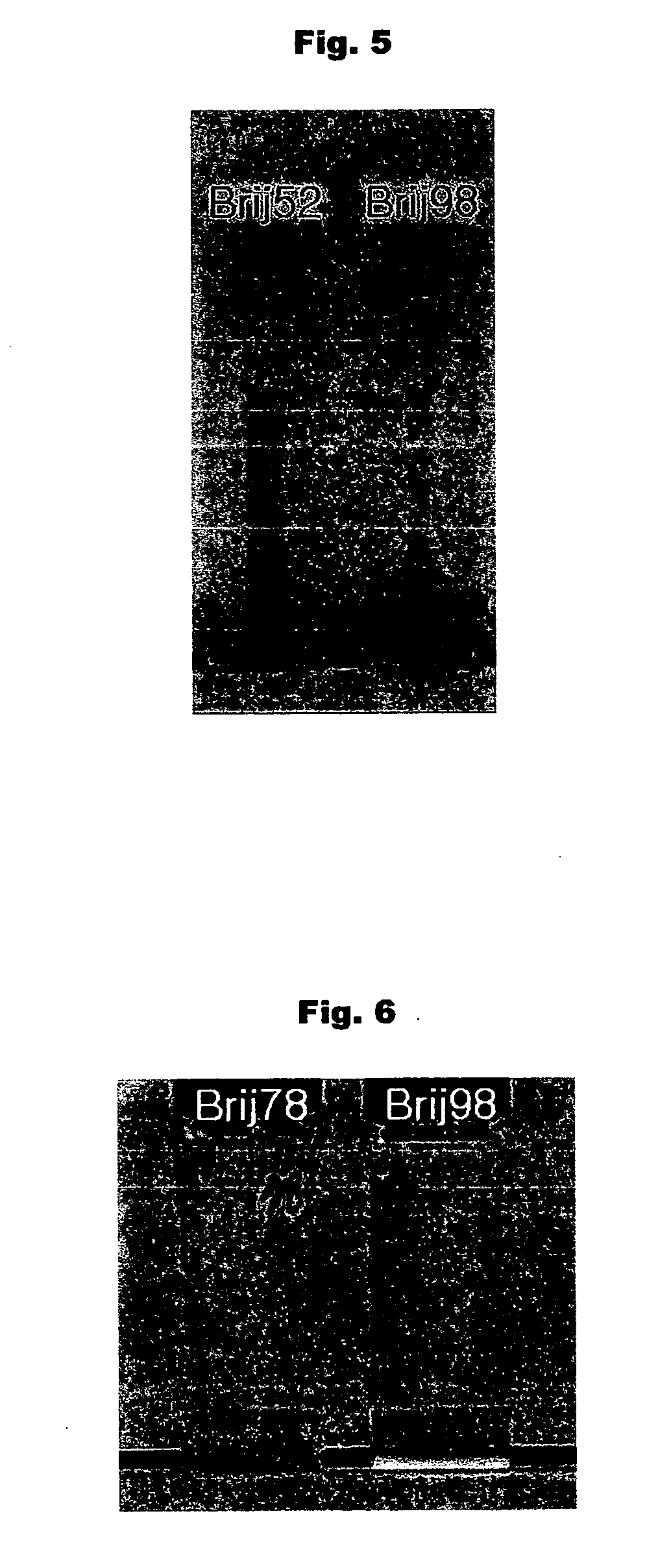 Dispersant for dispersing nanoparticles in an epoxy resin, method for dispersing nanoparticles using the same, and nanoparticle-containing thin film comprising the same