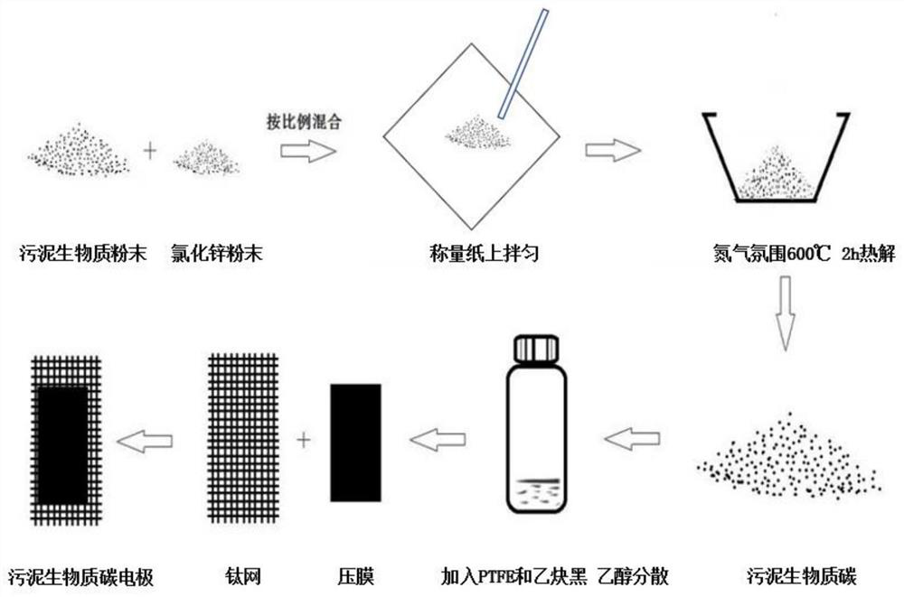 Preparation method and application of municipal sludge derived self-doped iron and nitrogen species carbon material electrode