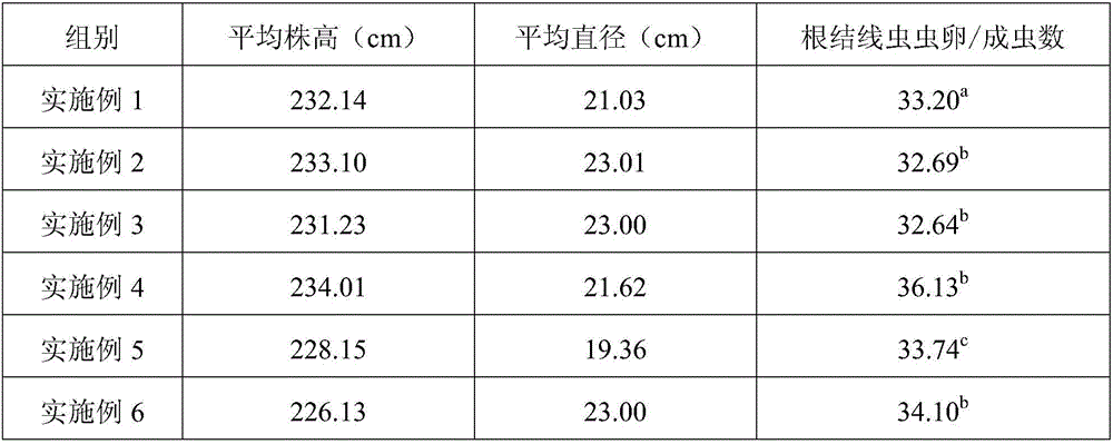 Dedicated chemical fertilizer for promoting growth of bananas