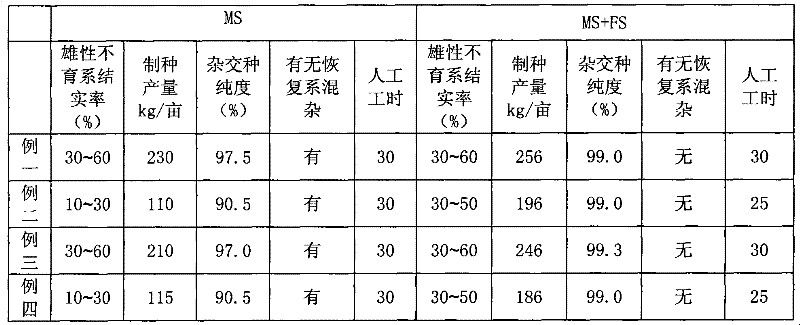 Method for using female sterility gene fst in hybrid rice breeding