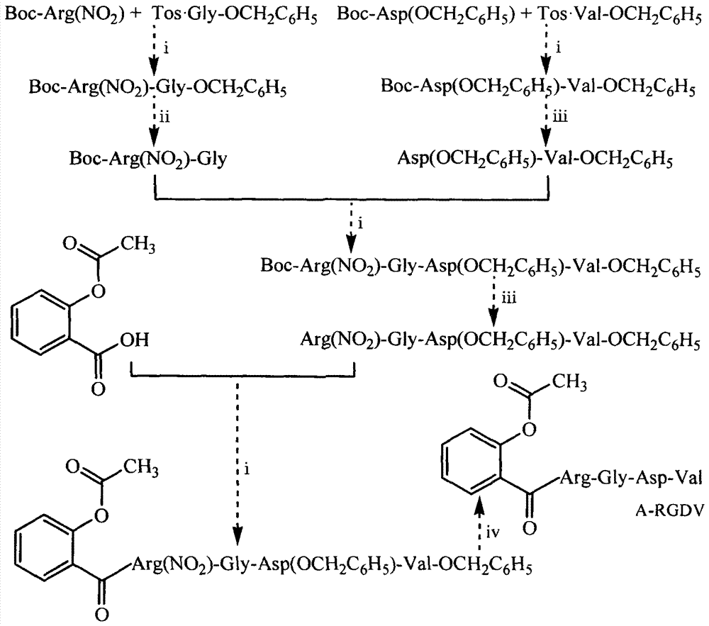Aspirin‑arg‑gly‑asp‑val conjugate, its synthesis, nanostructure and application as drug delivery system