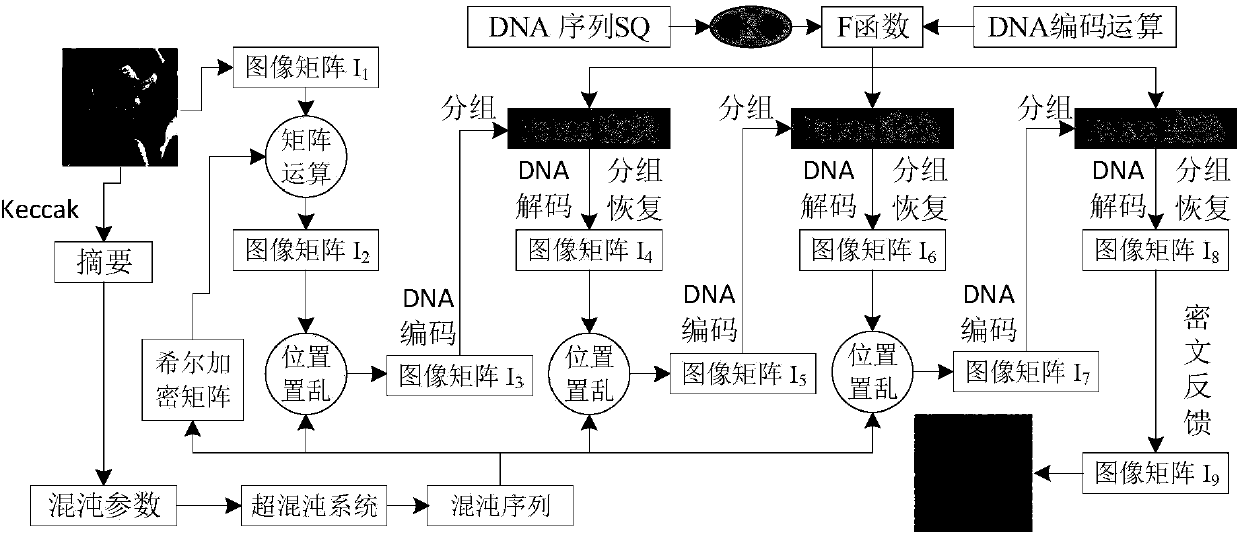 Image encryption method based on Feistel network and dynamic DNA encoding