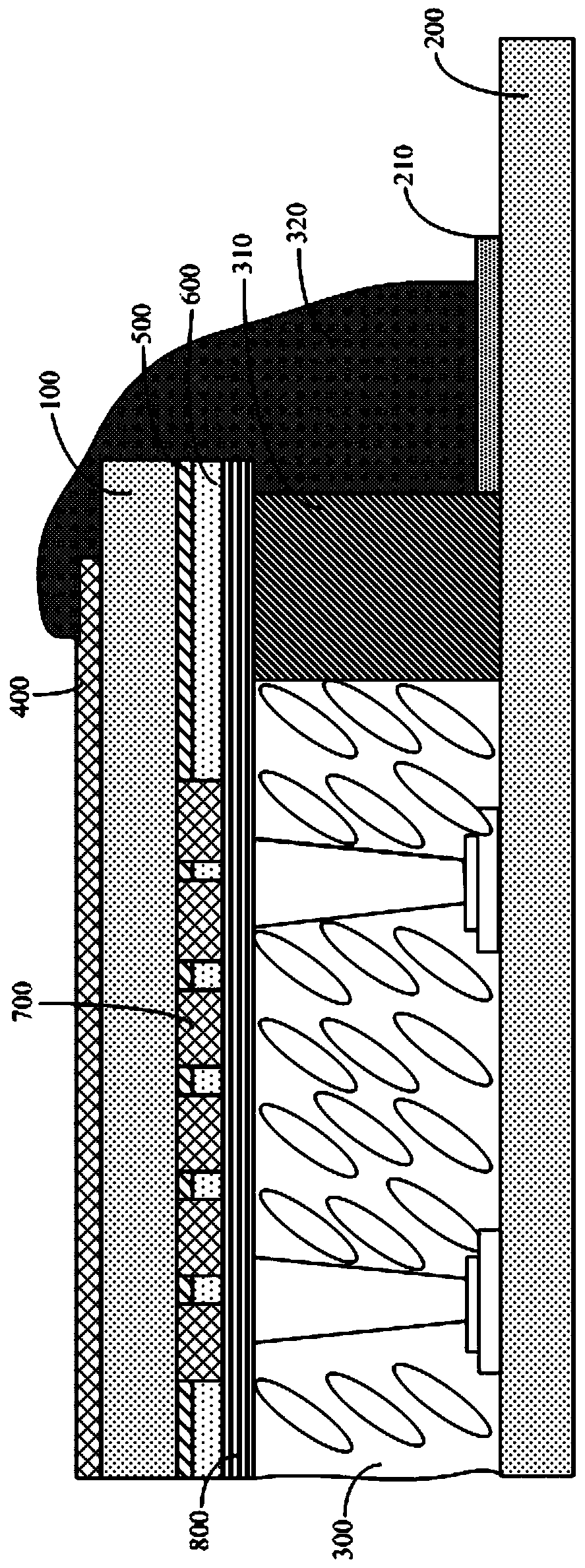 Display module and electronic device