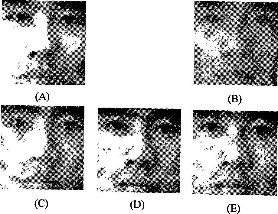 Face image fusing method based on laplacian-pyramid