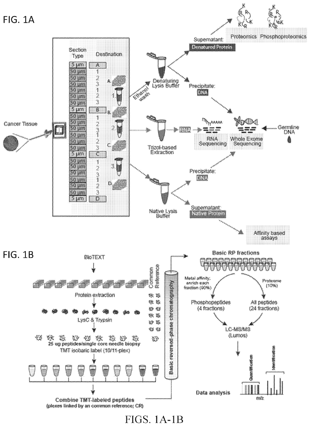 Proteogenomic methods for diagnosing cancer