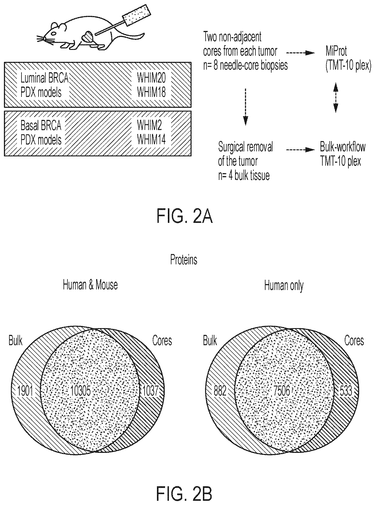 Proteogenomic methods for diagnosing cancer