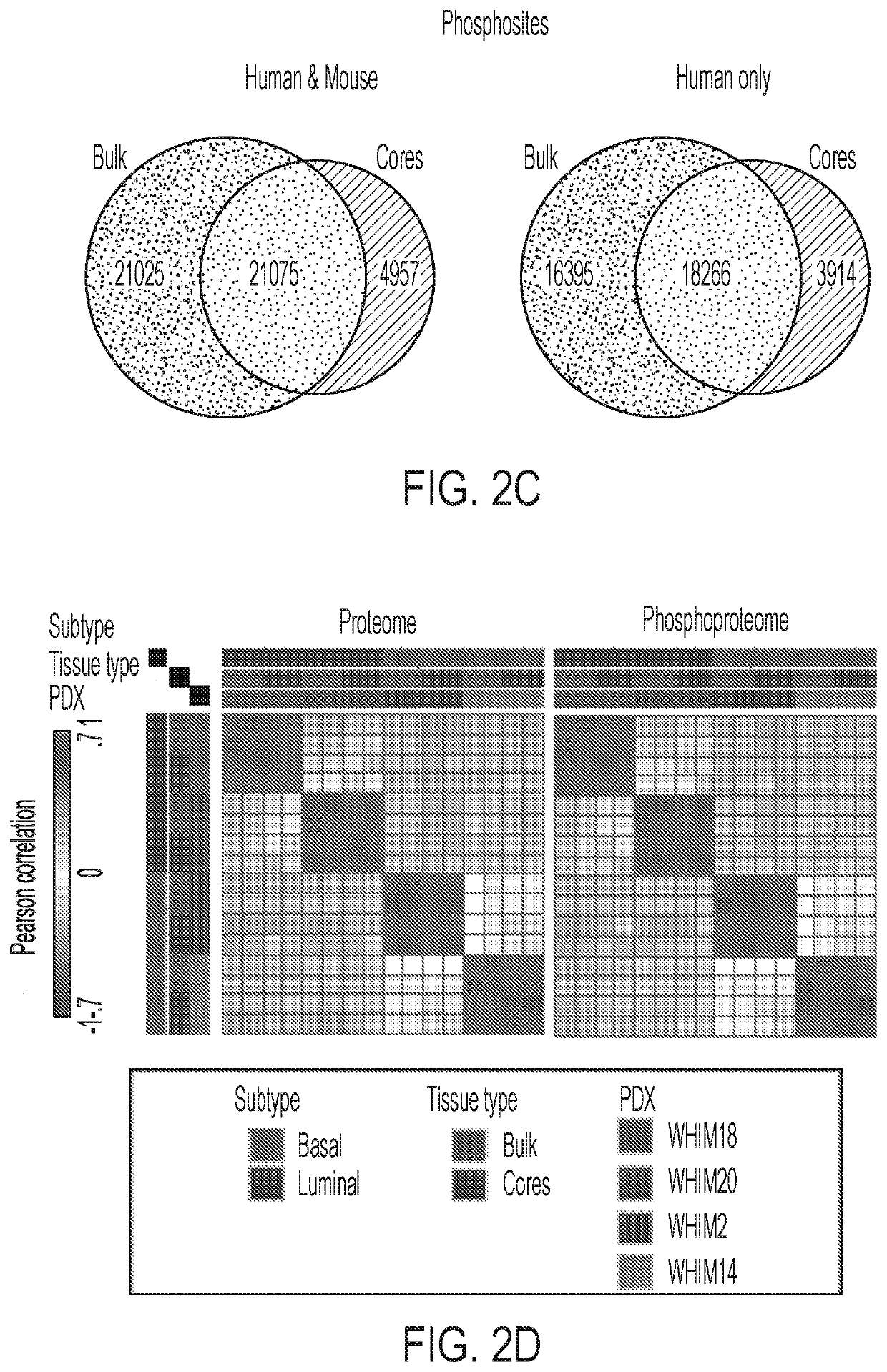 Proteogenomic methods for diagnosing cancer