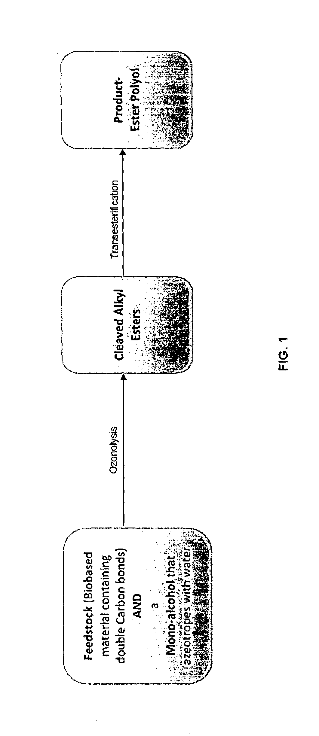 Method for the production of esters and uses thereof