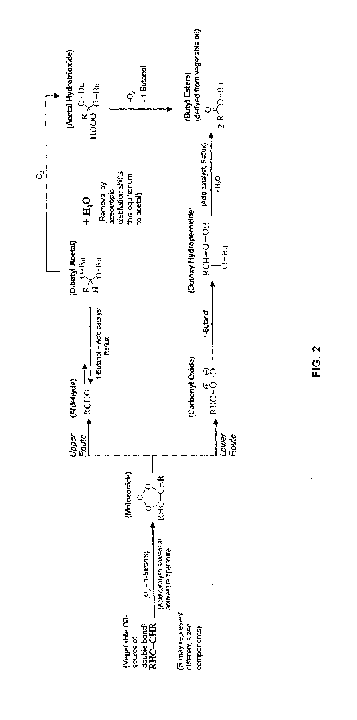 Method for the production of esters and uses thereof